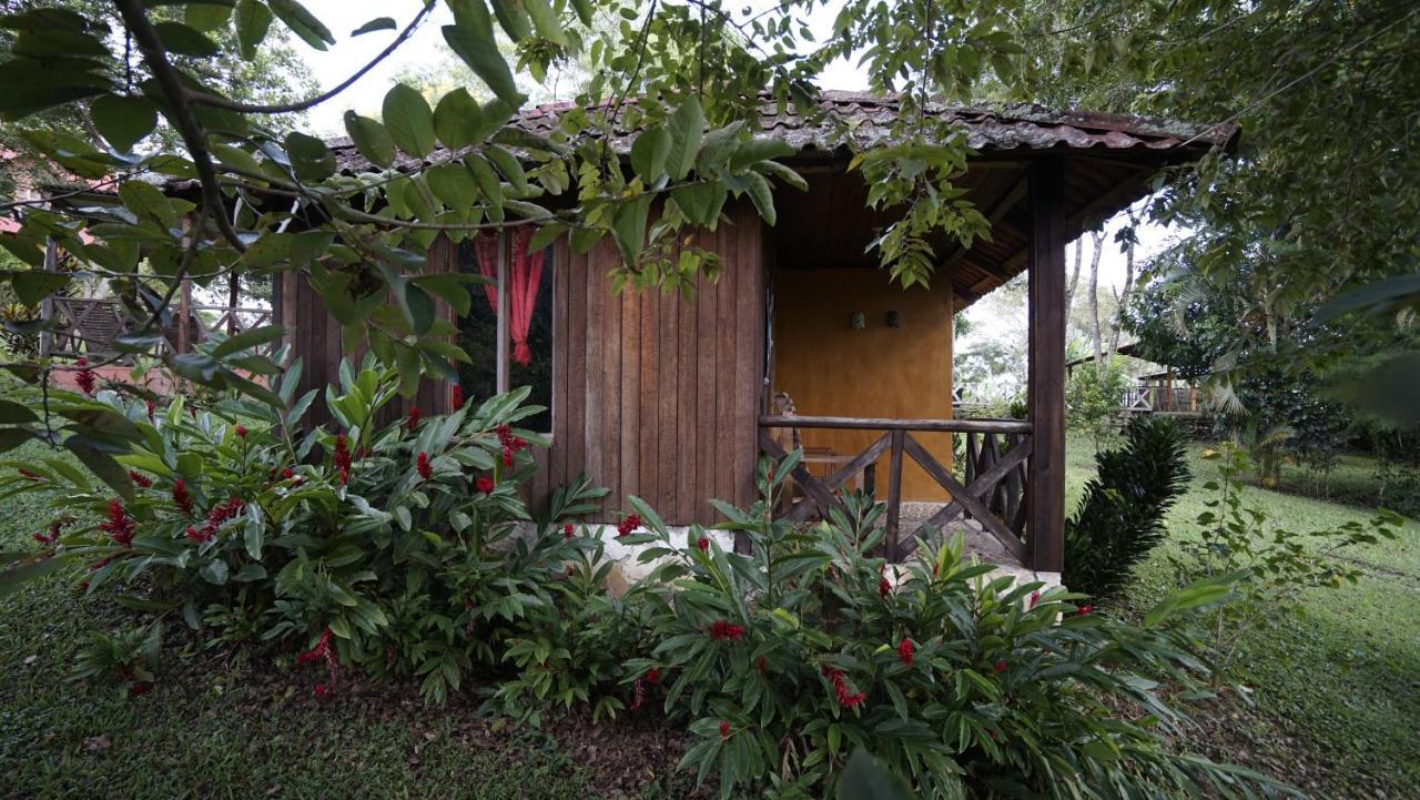 Cabanas Tonina Kayab Ocosingo Luaran gambar